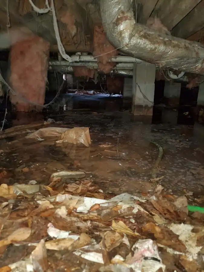 Crawl space flood assessment for Leak Detection & Repair in Cullowhee